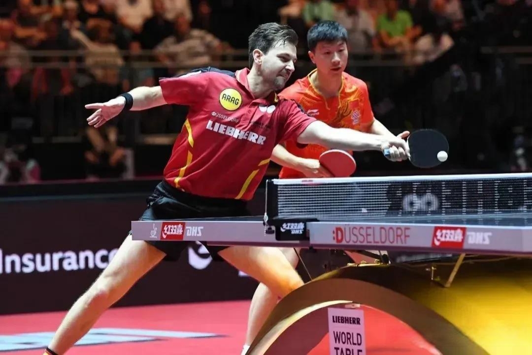 奥地利乒乓球队碾压法国乒乓球队，波尔高光表现