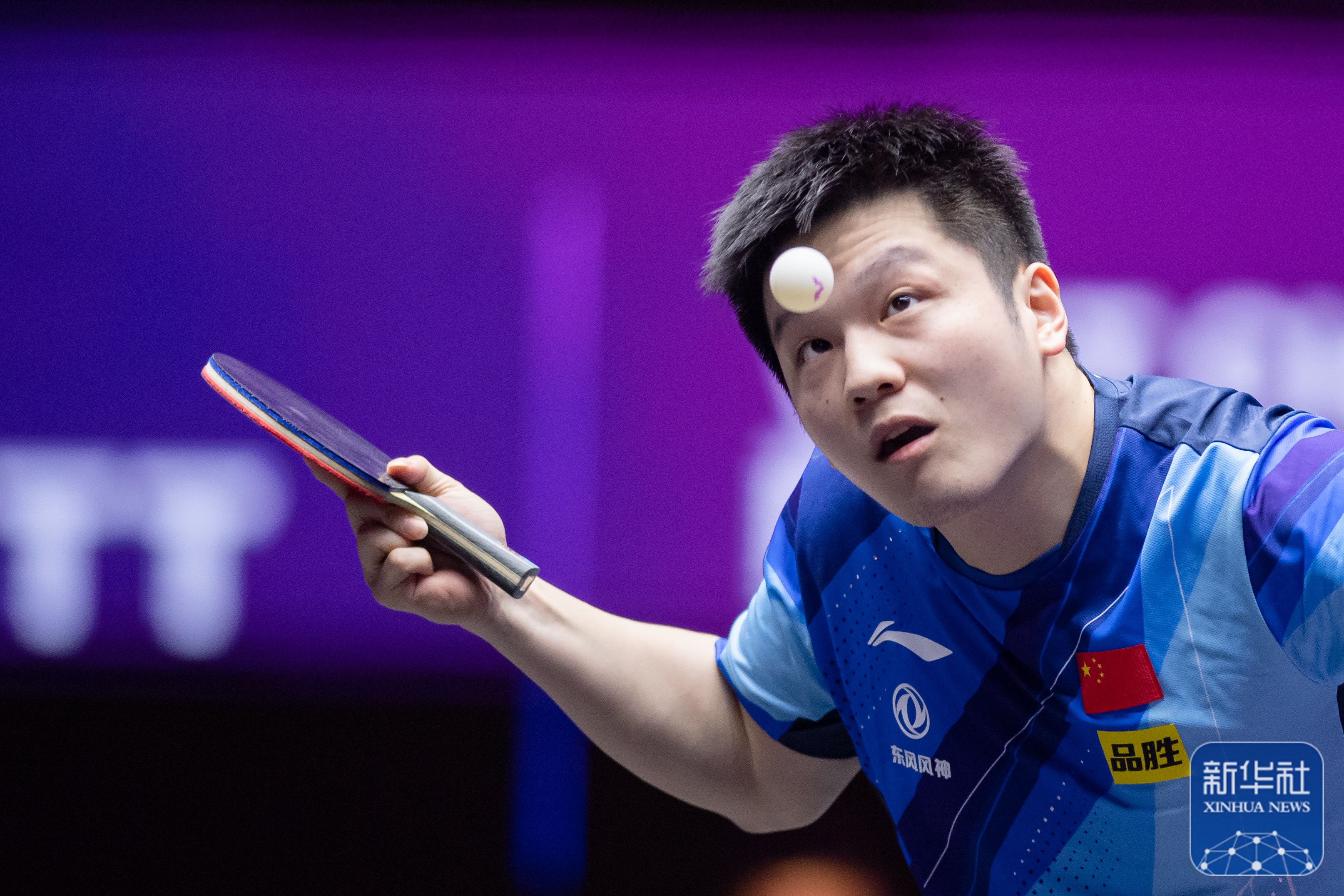 波兰乒乓球队力克瑞典乒乓球队，樊振东高光表现