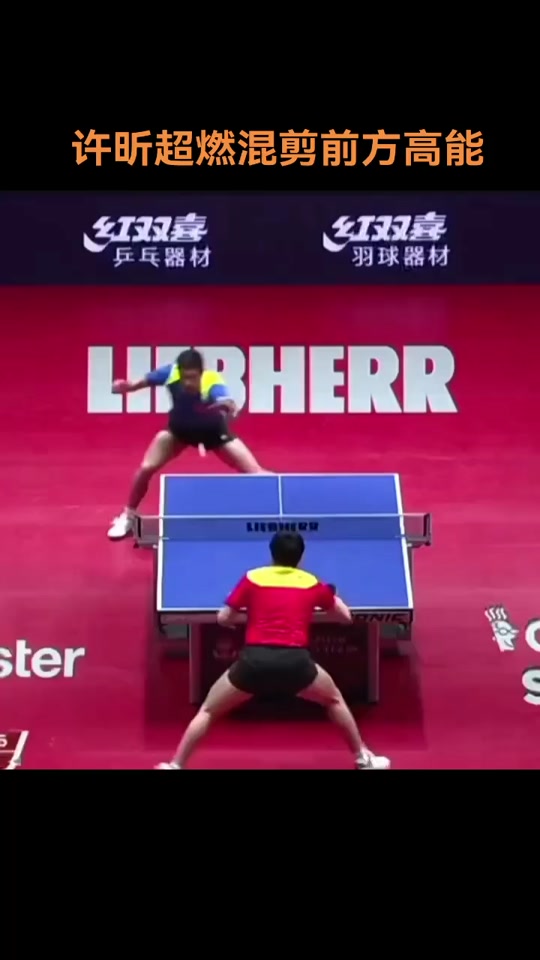 关于奥地利乒乓球队轻取德国乒乓球队，许昕高光表现的信息