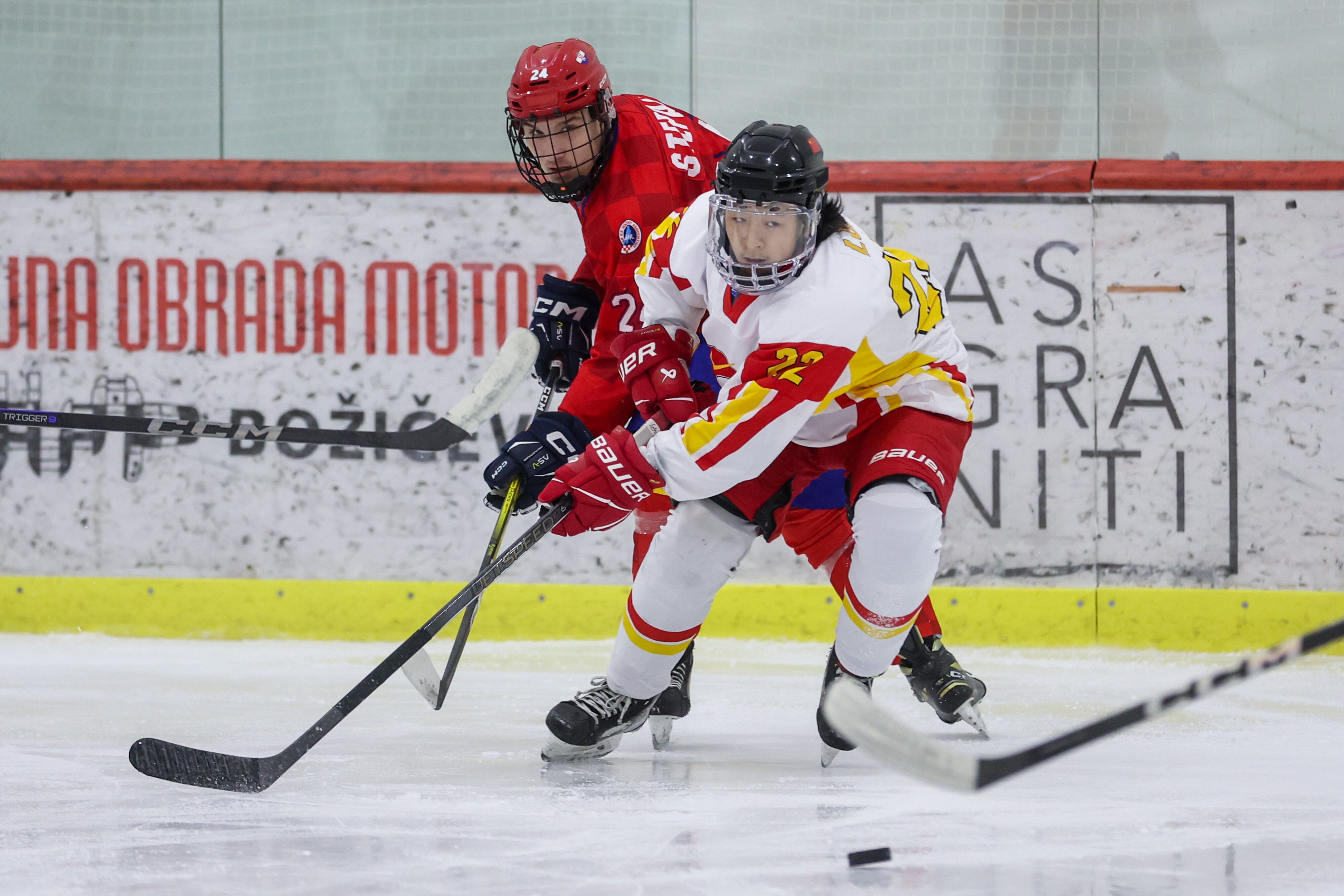 冰球总决赛即将打响，冠军归属成谜的简单介绍