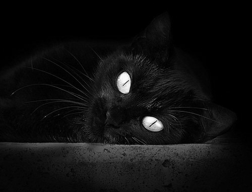 跨越阿尔卑斯的红黑风暴，法比尼奥率AC米兰横扫瑞士劲旅