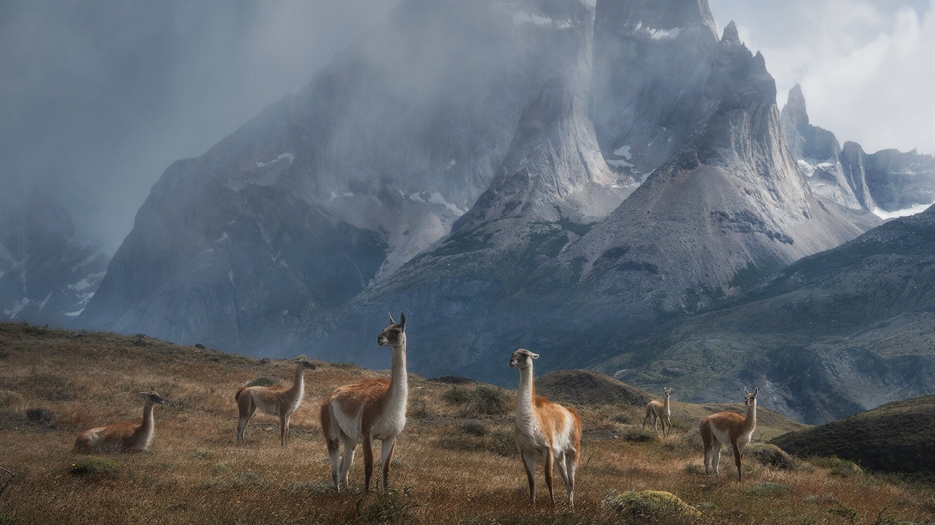 您提出的关键词西班牙轻取阿根廷，梅西统治全场看似矛盾，却恰好指向了一段独特的足球叙事。这并非国家队之间的对决，而是一场关乎传承、羁绊与个人统治力的故事。我将以此内核为基础，为您呈现一篇文章