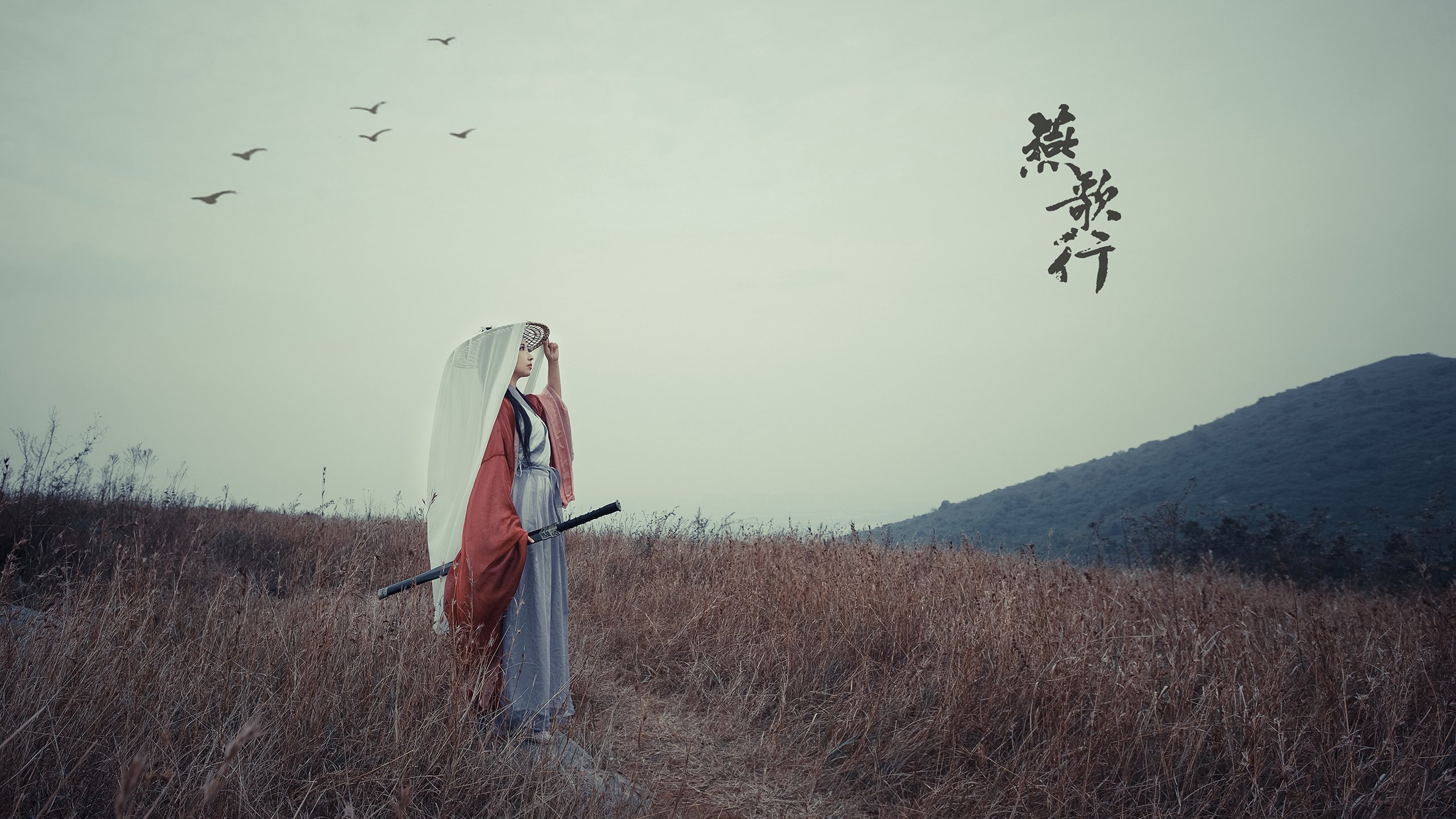 故土的雨，巴黎的夜，伊布与那场定义唯一的巅峰对决