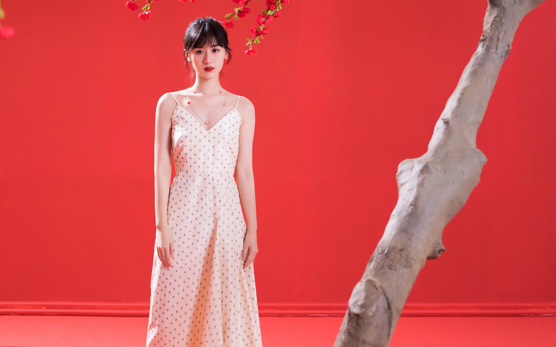 南半球的风暴，无名小卒戈麦斯如何导演澳大利亚掀翻欧洲豪门里昂