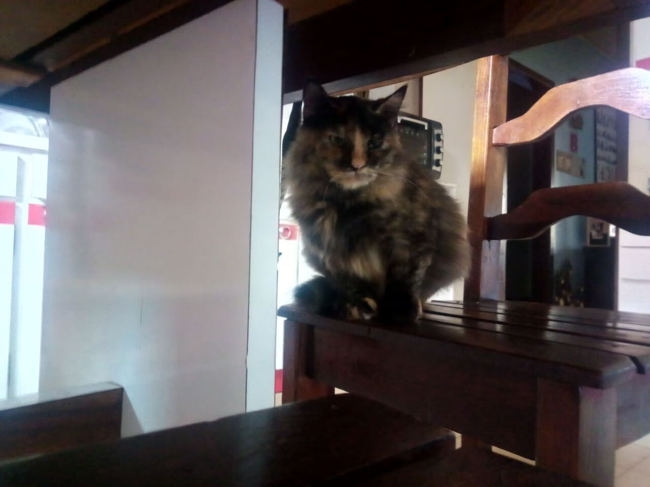 切特·霍姆格伦的无声惊雷，尼克斯加时险胜背后，一个新巨星的残酷成长礼