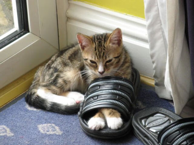 切断宿命，特别时刻，切特加时赛12分点燃天山奇迹