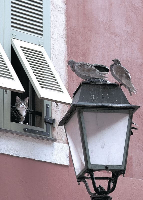 意甲焦点战，双重焦点，唯一胜负