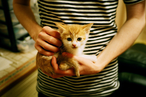 富安健洋与沙漠之狐，防守艺术的隔空交响，破解利物浦的进攻密码