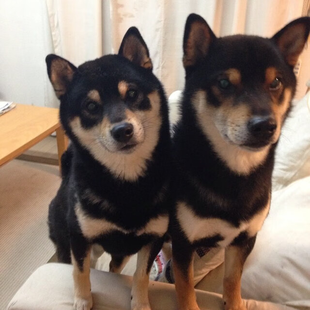 F1年度争冠之夜与福登纪录之夜，体育世界的历史性交汇