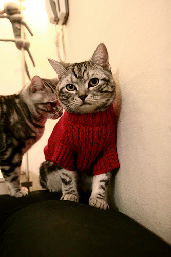 冰火之歌，西亚卡姆的冰山烈焰与篮网的噬魂绝杀