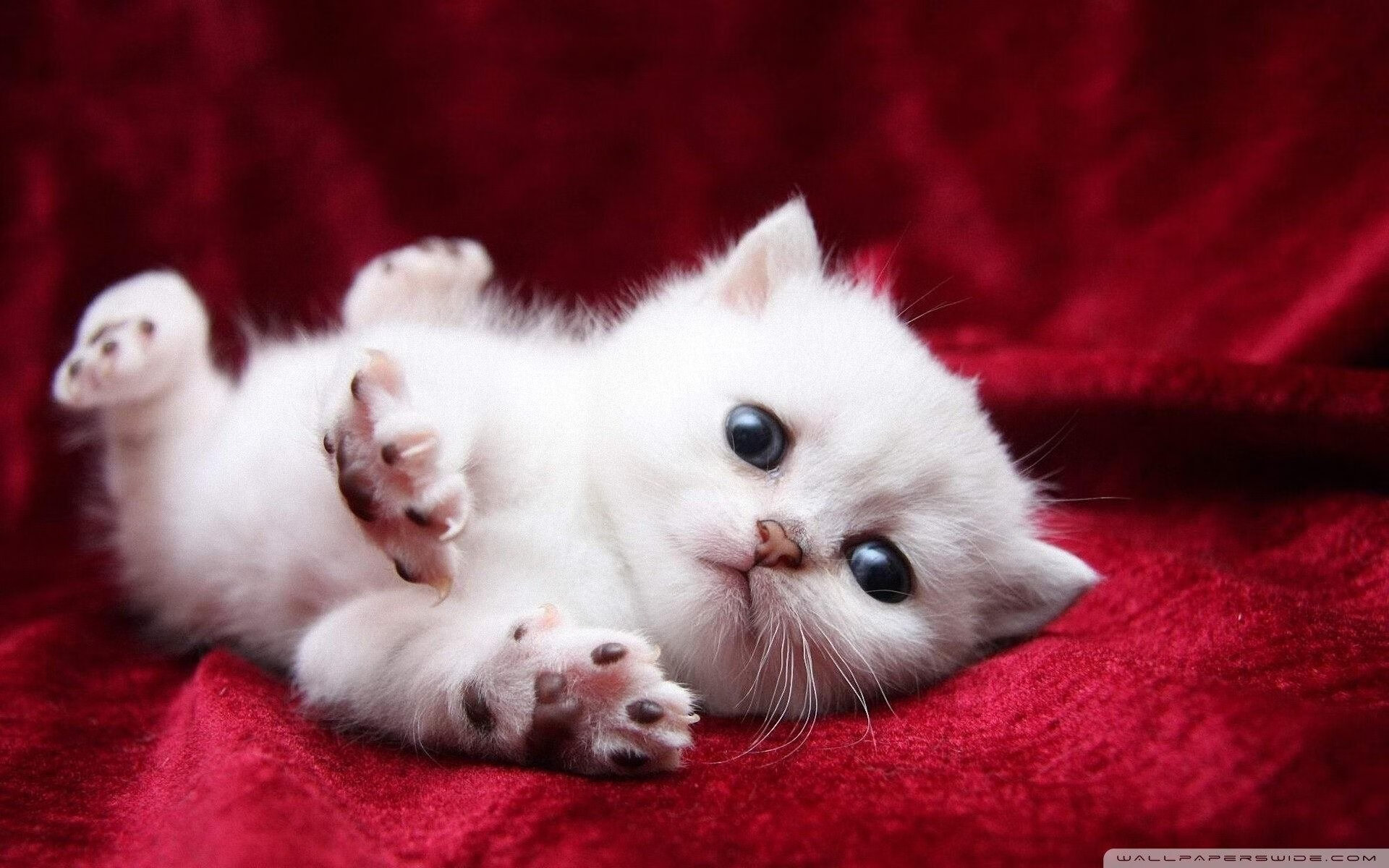 节奏之诗与野蛮之力,现代篮球的冰与火之歌