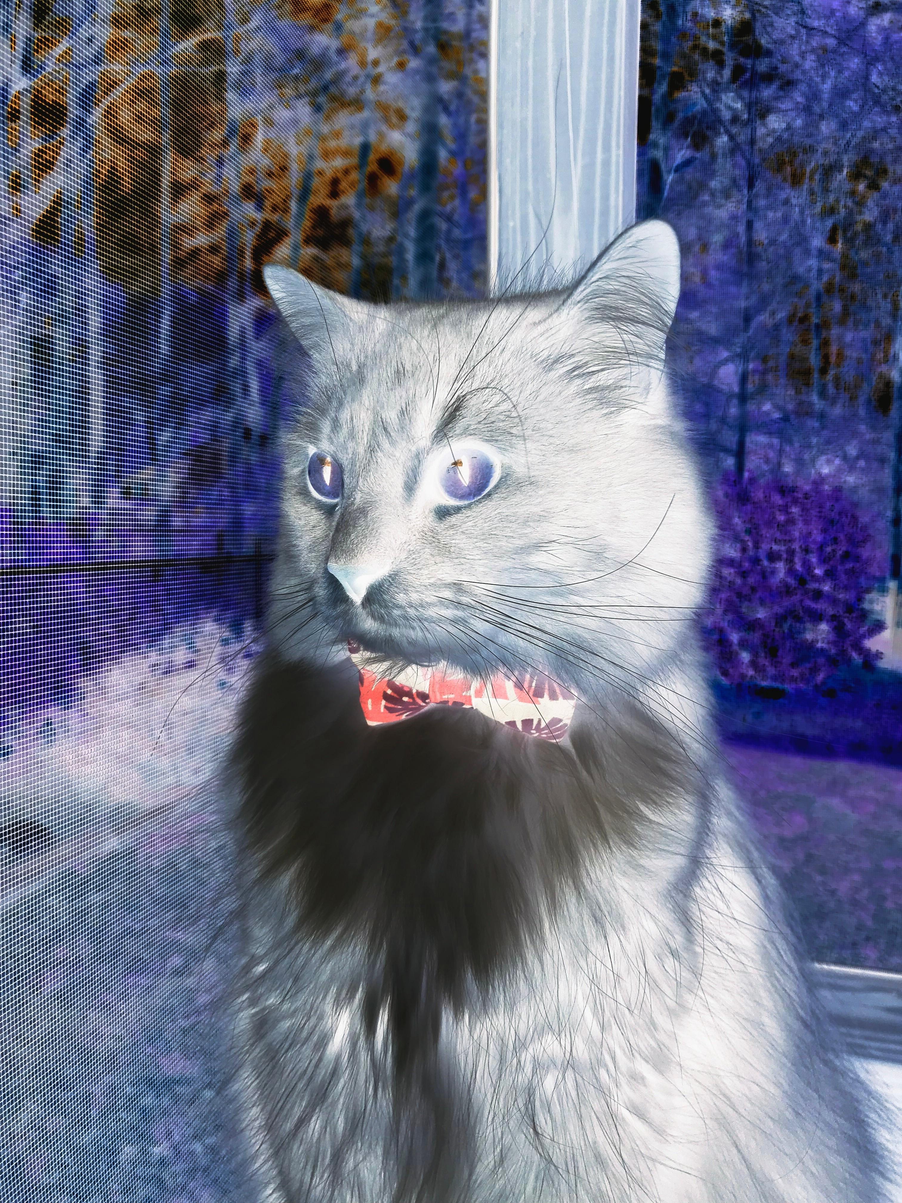 48分钟与90分钟的胜利，当骑士绝杀遇上范弗利特极限反超