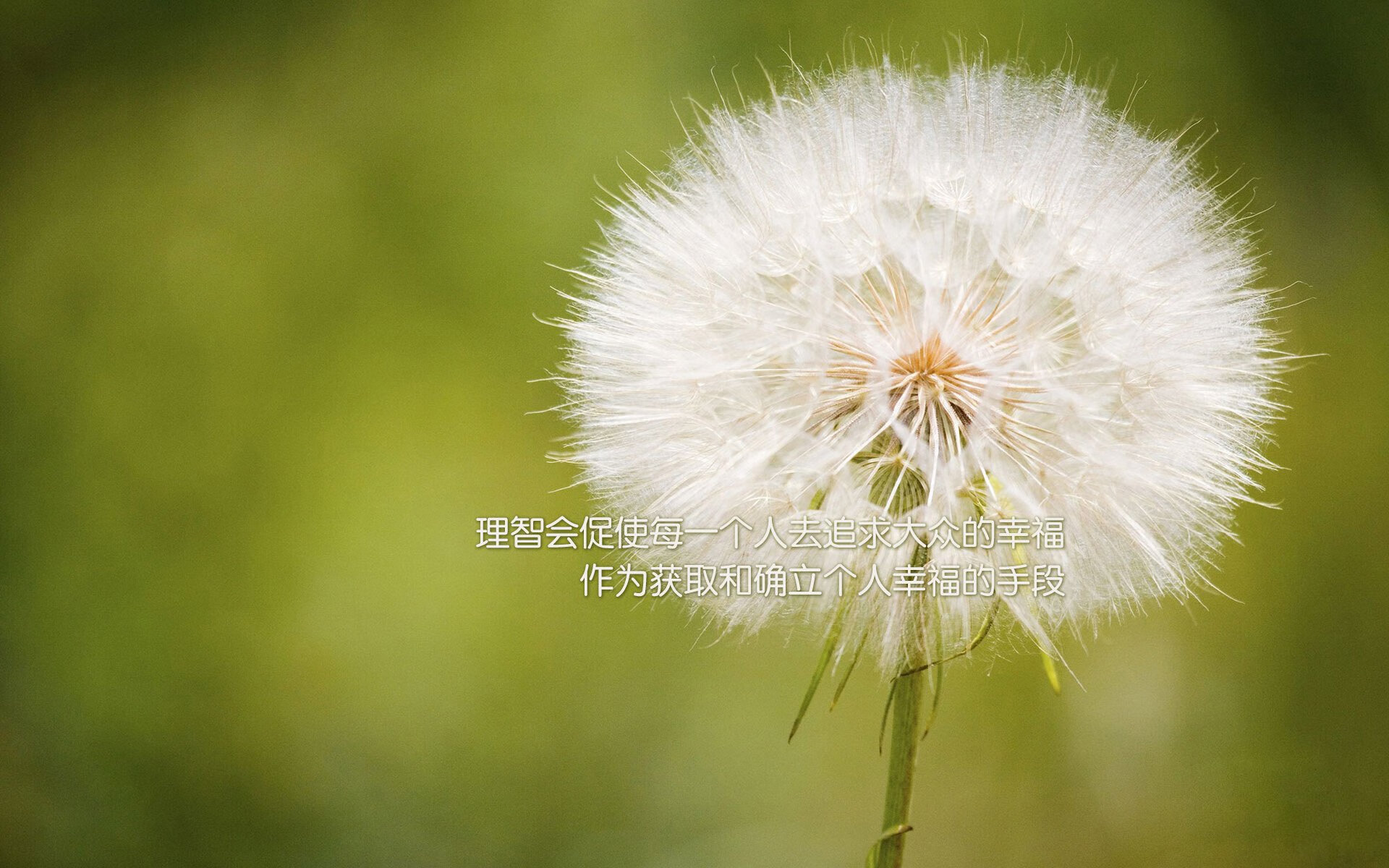 孤胆奇袭，喀麦隆雄狮的防守反击，如何借拉什福德之手撕碎德意志战车