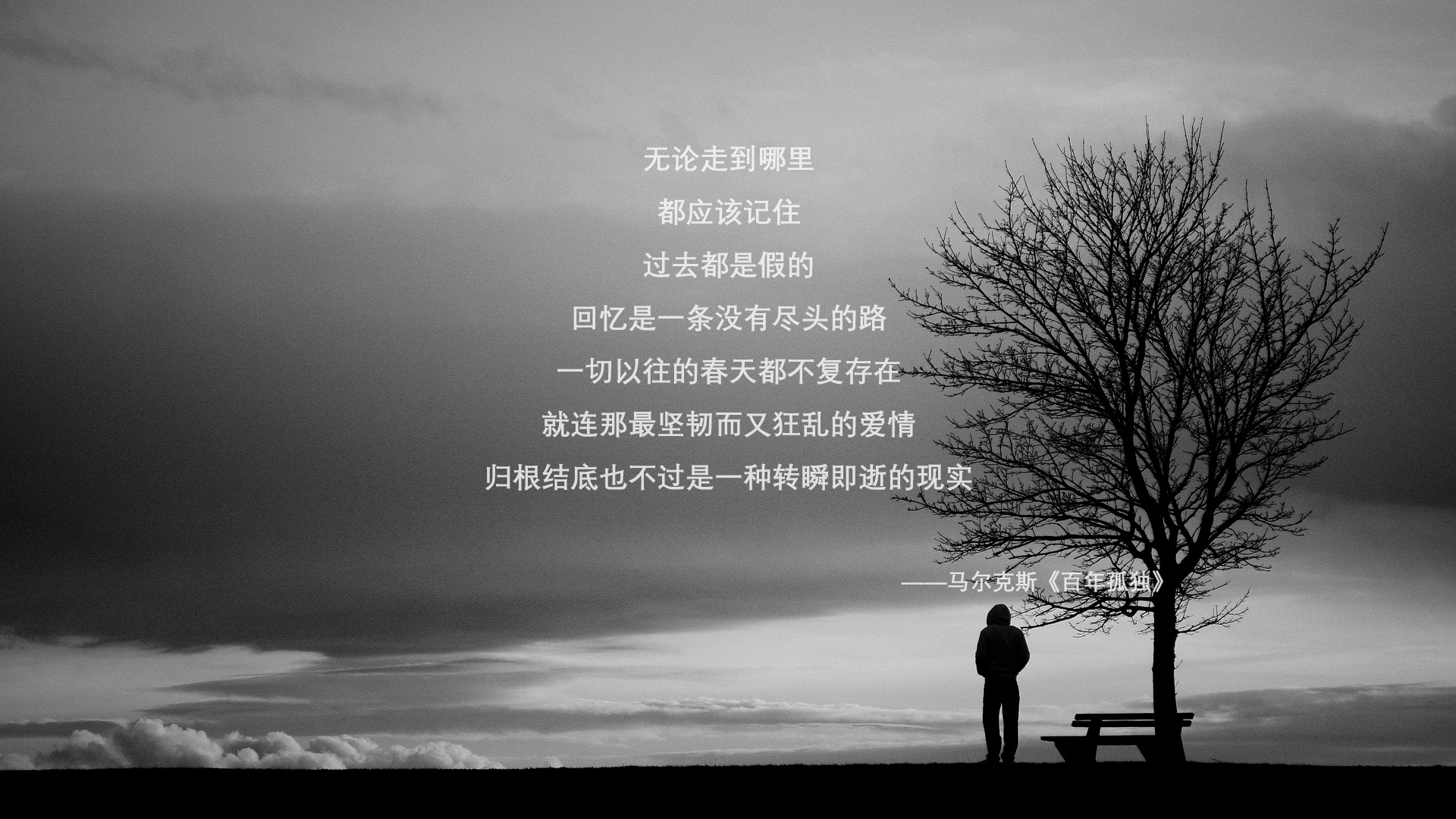 沙漠与白鹰的对决，2026世界杯B组生死战，莱万用一粒进球改写伊朗神话