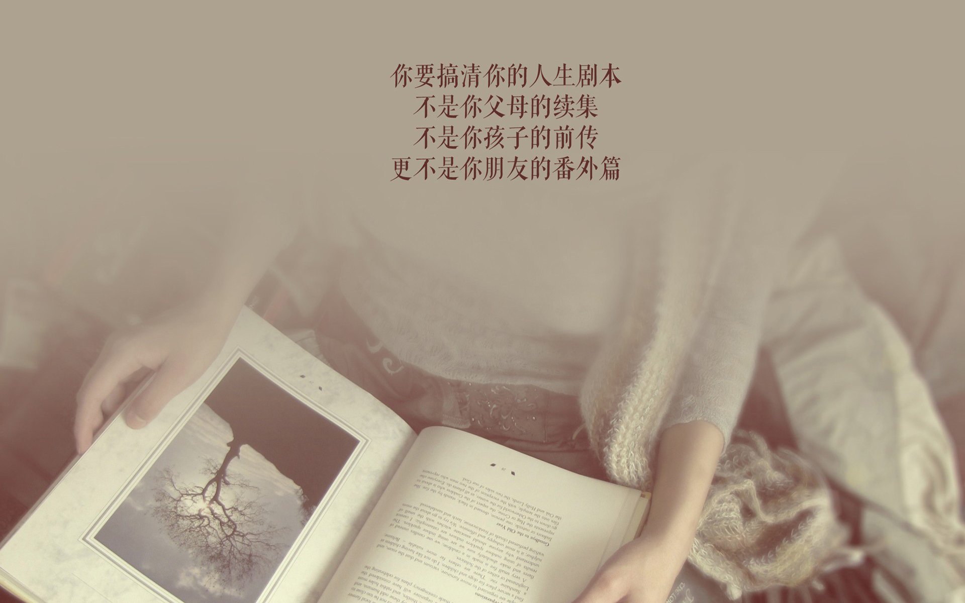 逆转之夜，2026世界杯E组生死战，葡萄牙绝地翻盘波兰，哈兰德独造三球闪耀全场