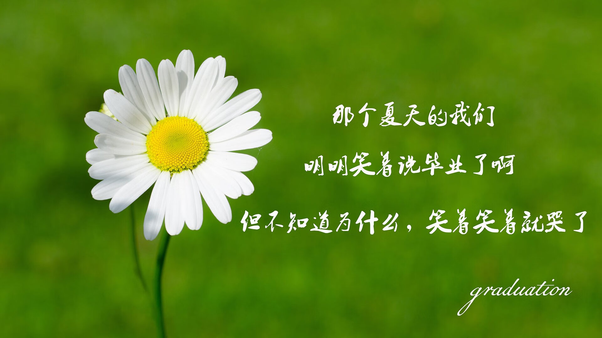 绝境中的王者,2026世界杯F组强强对话,比利时险胜泰国,姆巴佩一己之力改写命运